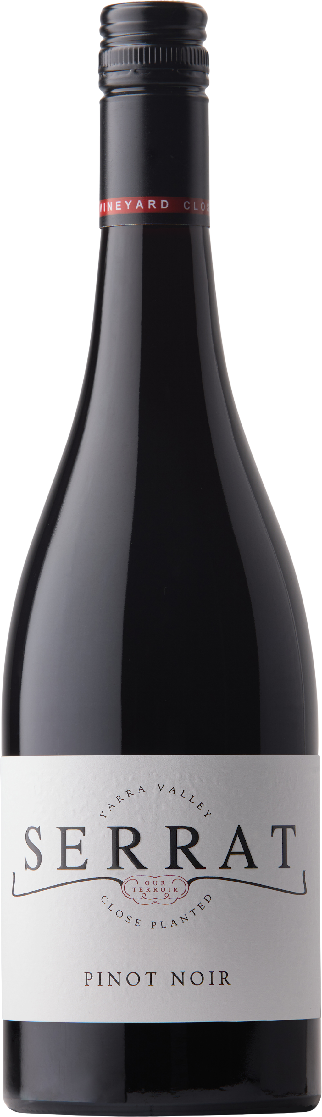 Serrat Pinot Noir 2024 Yarra Valley